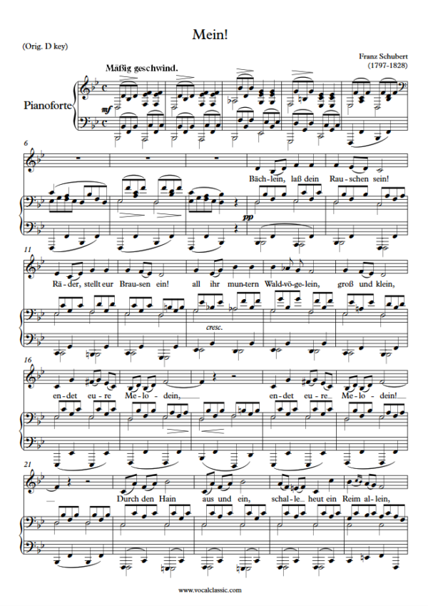 F. Schubert : Mein! (Bb Key) PDF Sheet music