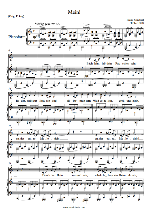 F. Schubert : Mein! (C Key) PDF Sheet music