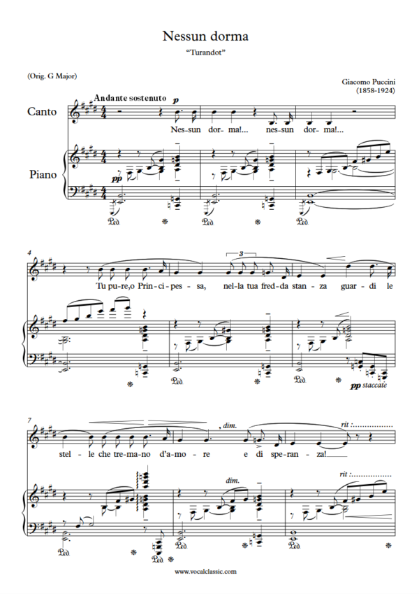 G. Puccini : Nessun dorma (E Key) PDF Sheet music