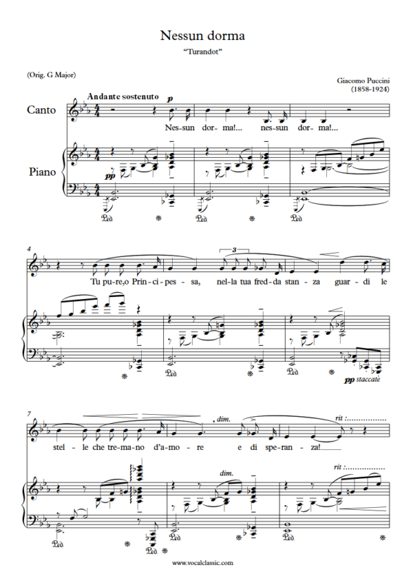 G. Puccini : Nessun dorma (Eb Key) PDF Sheet music