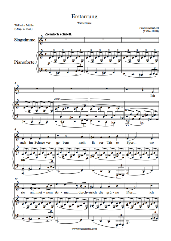 F. Schubert : Erstarrung (A minor Key) PDF – Winterreise Sheet music