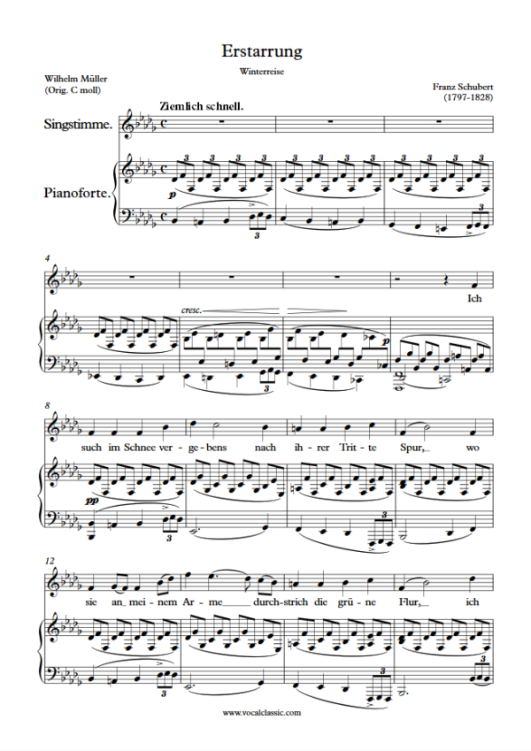 F. Schubert : Erstarrung (Bb minor Key) PDF – Winterreise Sheet music