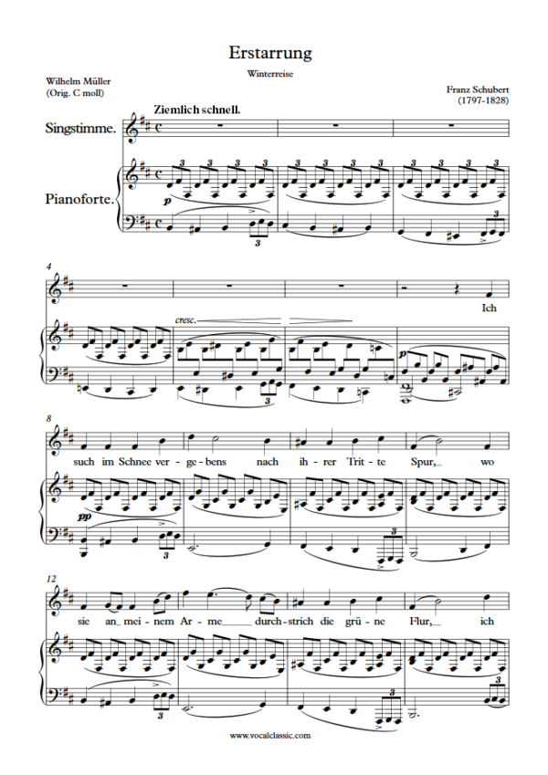 F. Schubert : Erstarrung (B minor Key) PDF – Winterreise Sheet music