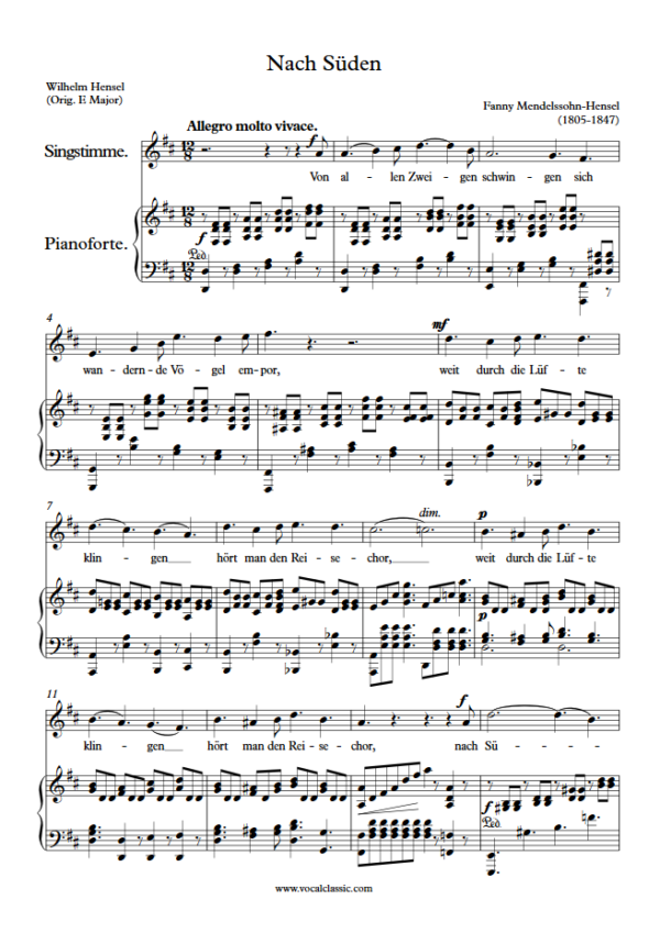 F. Hansel : Nach Süden (D Key) PDF Sheet music