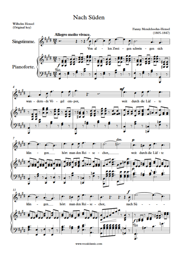 F. Hansel : Nach Süden (E Key, Original) PDF Sheet music