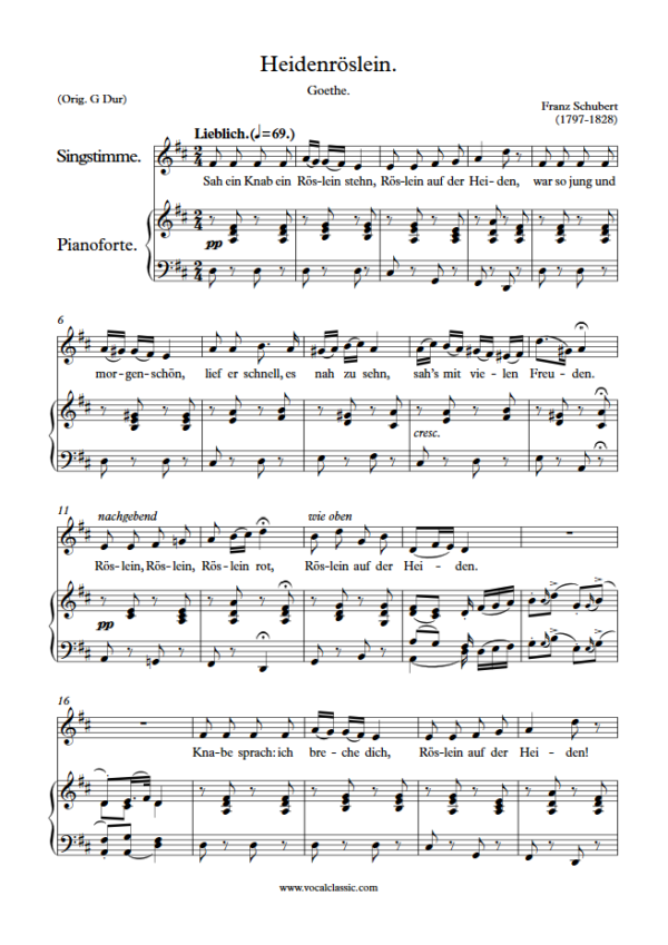 F. Schubert : Heidenröslein (D Key) PDF Sheet music