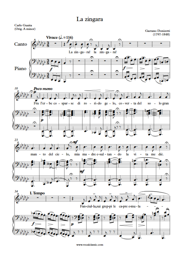 G. Donizetti : La zingara (Eb minor Key) PDF Sheet music