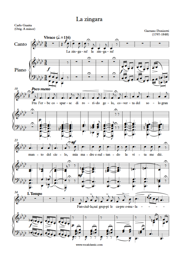 G. Donizetti : La zingara (F minor Key) PDF Sheet music