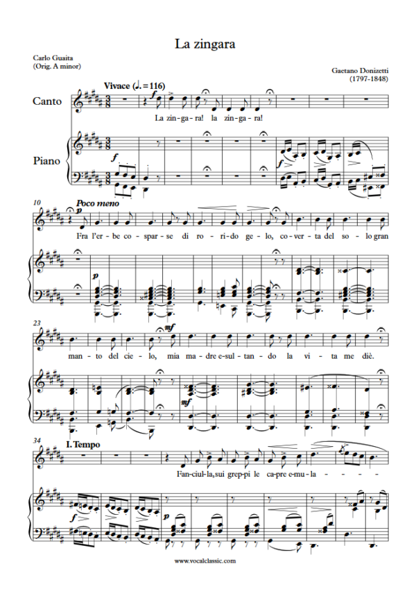 G. Donizetti : La zingara (G sharp minor Key) PDF Sheet music