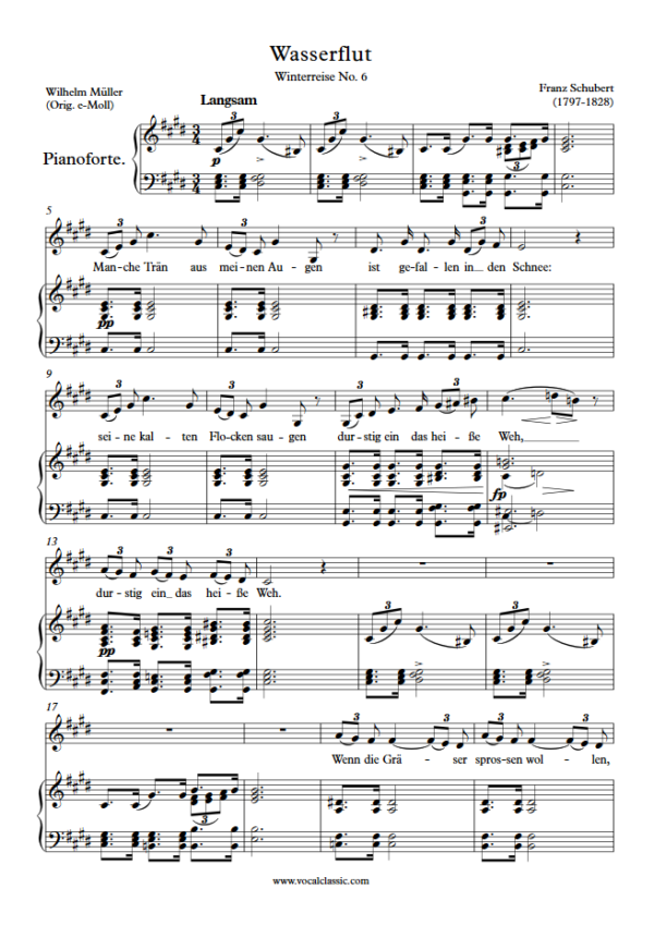 F. Schubert : Wasserflut (C sharp minor Key) PDF Sheet music