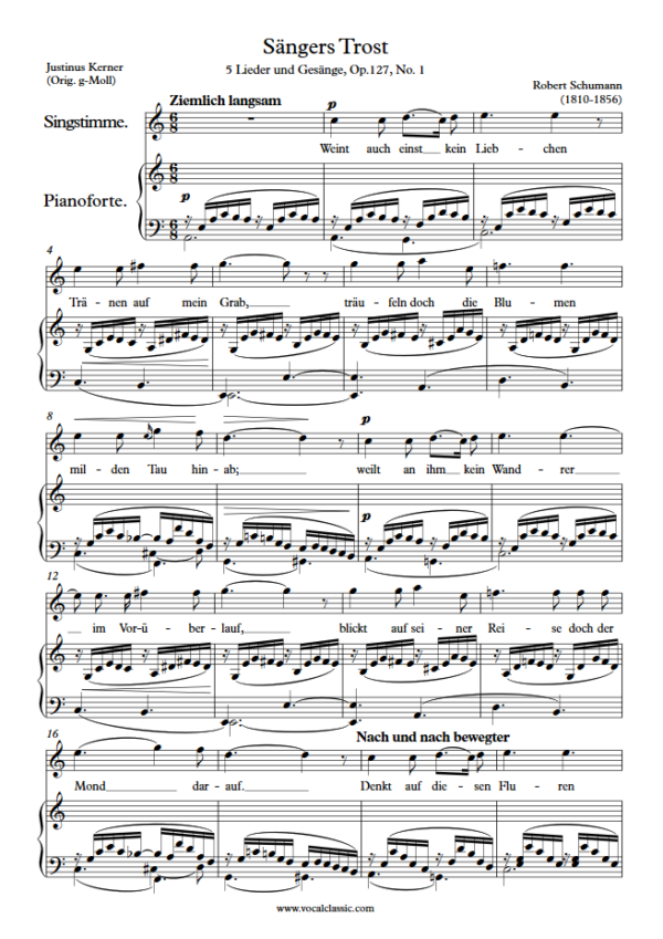 R. Schumann : Sängers Trost (A minor Key) PDF Sheet music