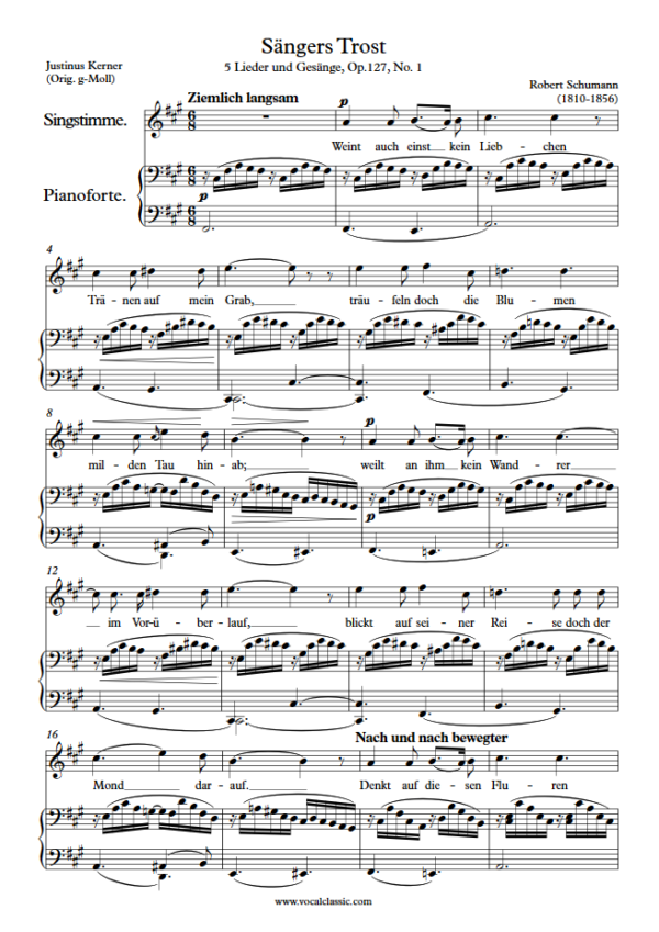 R. Schumann : Sängers Trost (F sharp minor Key) PDF Sheet music