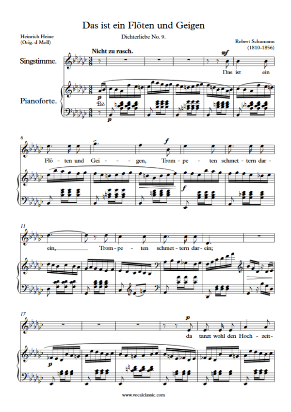 R. Schumann : Das ist ein Flöten und Geigen (Eb minor Key) PDF Sheet music